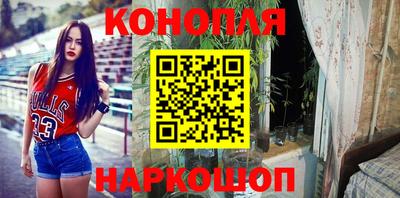 крисы Мариинск